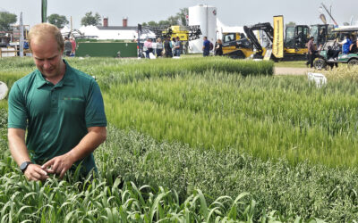 A New Role at FP Genetics — Offering Farmer Support with a Genetic Advantage