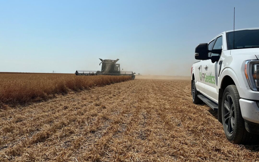 Why Investing in Seed Genetics is an Investment in Canadian Agriculture