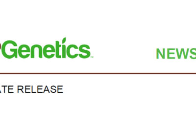 FP Genetics and Valesco Genetics Secure Commercial Access to AAFC Lacombe Field Pea Breeding Material and Germplasm